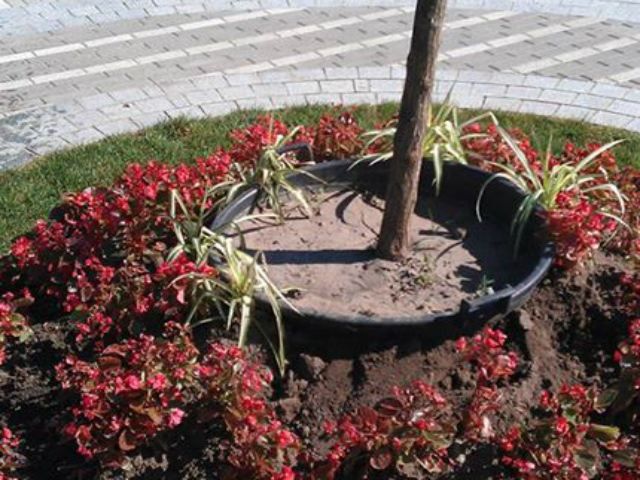 После празднования Крещения Руси из столичного парка убирают деревья После празднования Крещения Руси из столичного парка убирают деревья