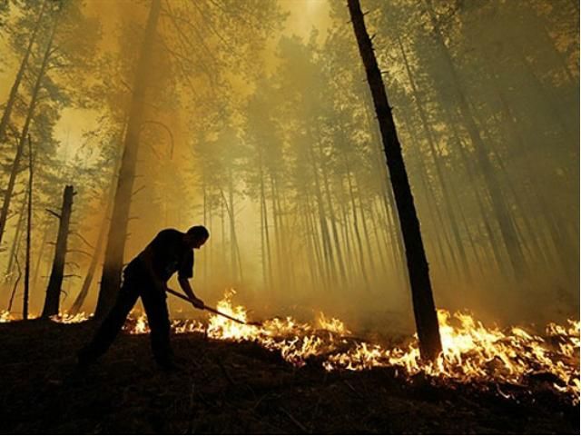 Сьогодні в Україні високий рівень пожежної небезпеки 