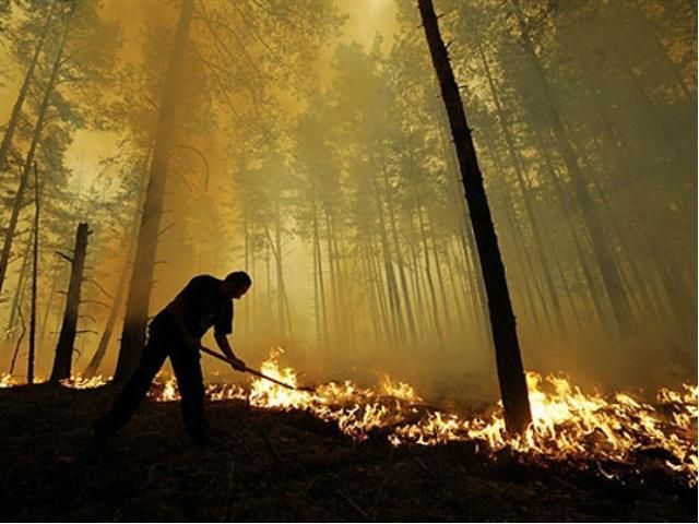 Сегодня в Украине высокий уровень пожарной опасности