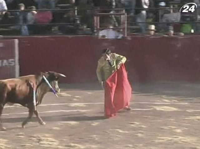 Європейські матадори їдуть до Латинської Америки через заборону кориди Європейські матадори їдуть до Латинської Америки через заборону кориди