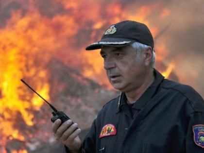 Лісова пожежа лютує в Греції: вогонь знищив понад 15 будинків 