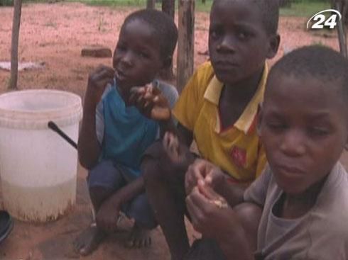 Багатство і бідність Африки: Зімбабве Багатство і бідність Африки: Зімбабве