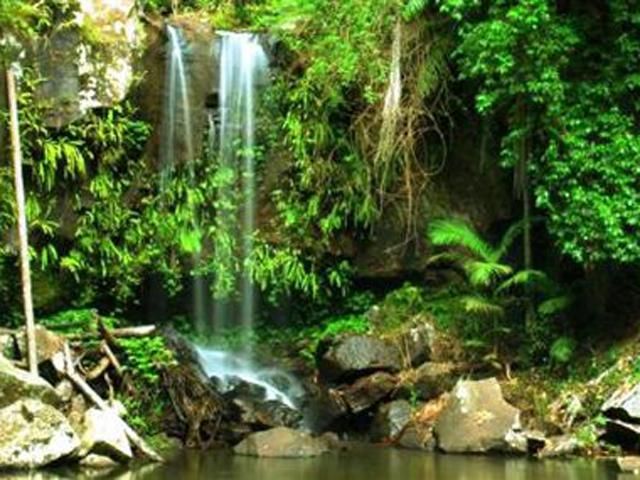 Нашли отца и сына, которые 40 лет прожили в вьетнамских джунглях Нашли отца и сына, которые 40 лет прожили в вьетнамских джунглях