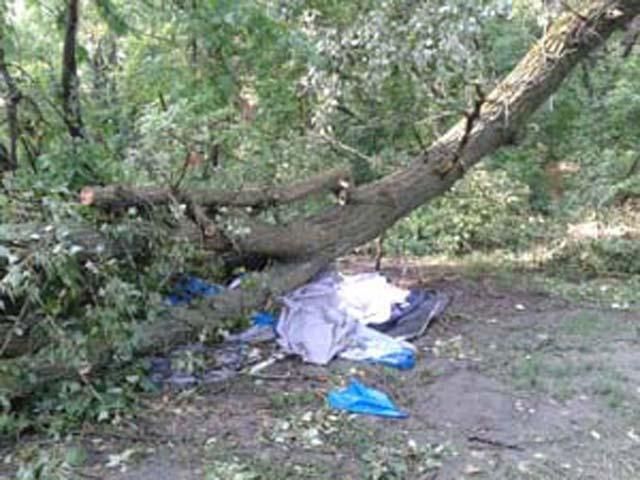 На Донеччині дерево розчавило чоловіка