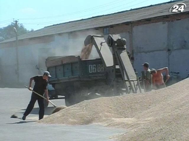 Россия не оставляет надежд на создание зернового пула Россия не оставляет надежд на создание зернового пула