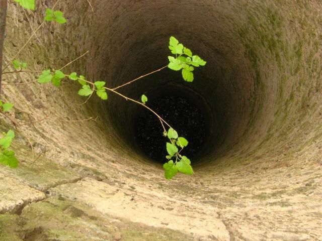 На Дніпропетровщині дівчинка та її дідусь впали у колодязь На Дніпропетровщині дівчинка та її дідусь впали у колодязь