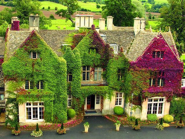 Дома, которые "поглотили" растения Дома, которые "поглотили" растения