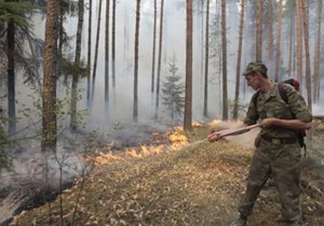 Часть Франковщины, где горели леса, обследуют