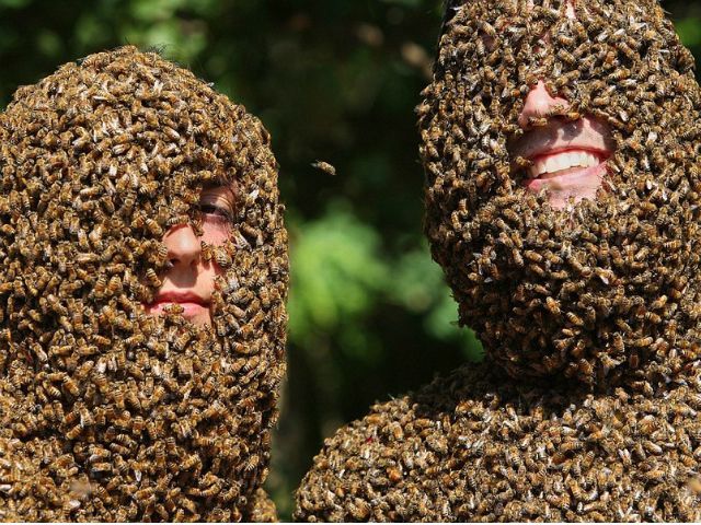 В Канаде состоялся конкурс пчелиных бород