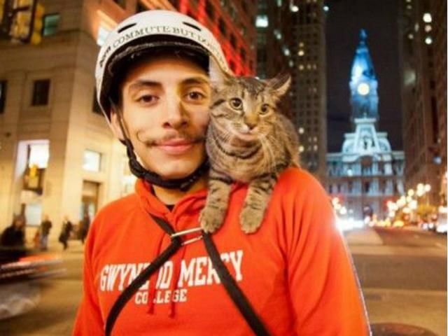 Американский велосипедист путешествует с котом (Видео) Американский велосипедист путешествует с котом (Видео)