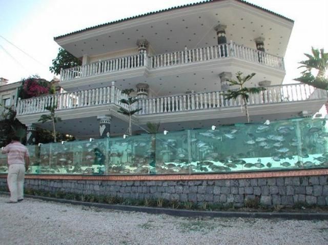 В Турции есть забор-аквариум с сотнями живых рыб