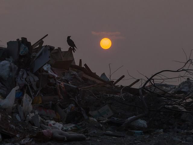 Найбільше у Новосибірську сміттєзвалище (Фото) Найбільше у Новосибірську сміттєзвалище (Фото)