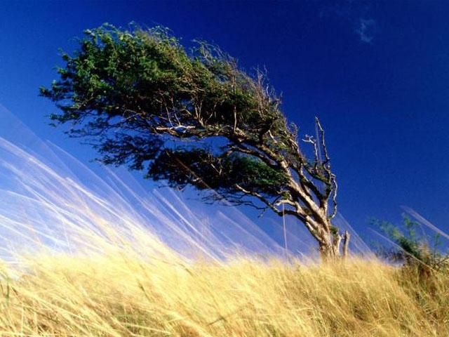 Сьогодні у південних та східних областях оголошено штормове попередження Сьогодні у південних та східних областях оголошено штормове попередження