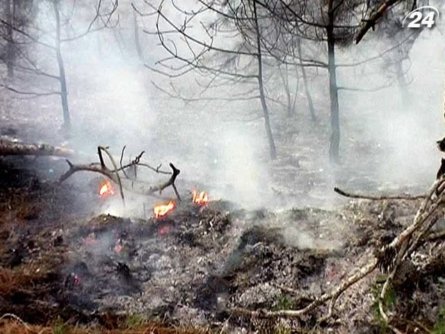 В Украине объявлена ​​чрезвычайная пожароопасность