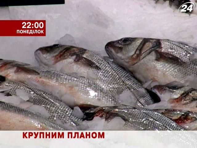 Анонс. Крупним планом: Чи безпечна риба з українських водойм?