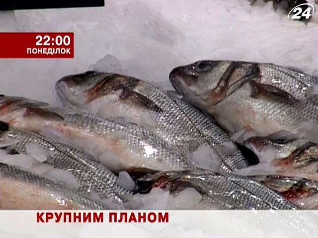 Анонс. Крупным планом: Безопасная рыба из украинских водоемов?