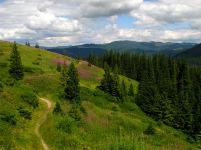 На Івано-Франківщині знайшли російських туристів, які заблукали в горах 