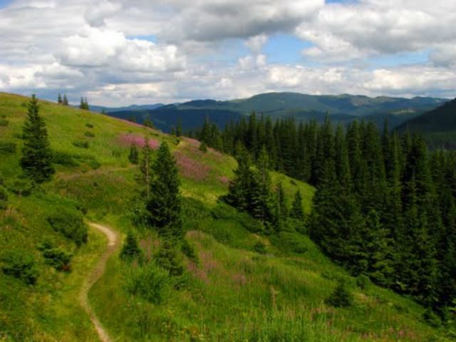 На Івано-Франківщині знайшли російських туристів, які заблукали в горах На Івано-Франківщині знайшли російських туристів, які заблукали в горах