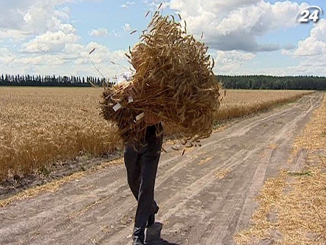 Українські фермери скаржаться на від’ємну рентабельність Українські фермери скаржаться на від’ємну рентабельність