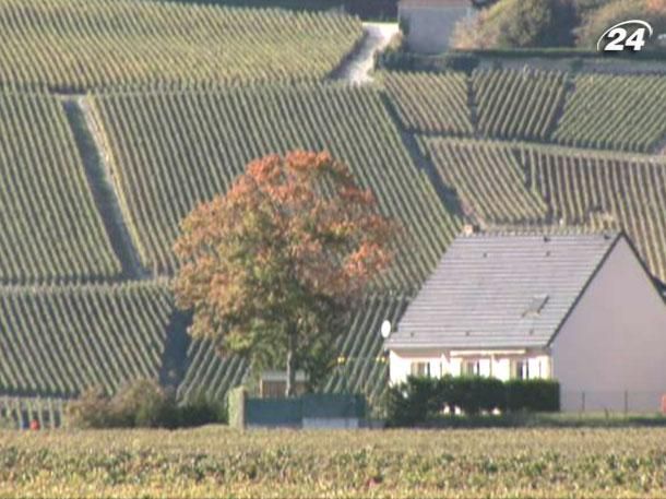 Гори Лапландії та Альп, винний регіон Шампань та стародавній Гібралтар Гори Лапландії та Альп, винний регіон Шампань та стародавній Гібралтар