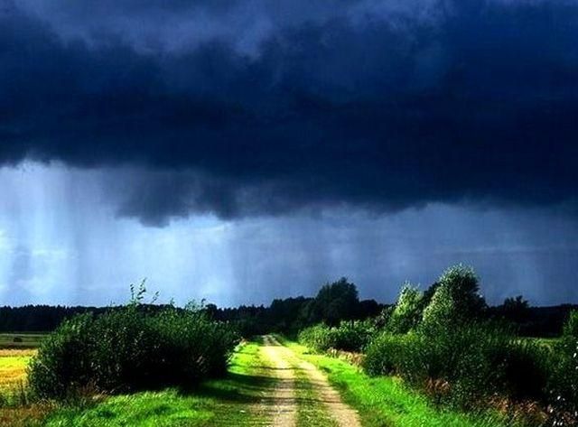 Завтра в Украине будет жара и временные грозы Завтра в Украине будет жара и временные грозы