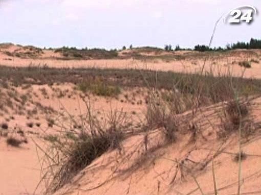 В Україні знаходиться друга за розміром пустеля Європи В Україні знаходиться друга за розміром пустеля Європи