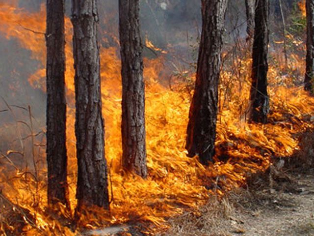 В Украине штормовое предупреждение и чрезвычайная пожарная опасность В Украине штормовое предупреждение и чрезвычайная пожарная опасность