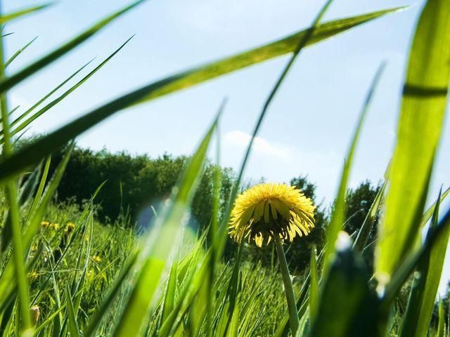 В Україні на День Незалежності буде сонячно