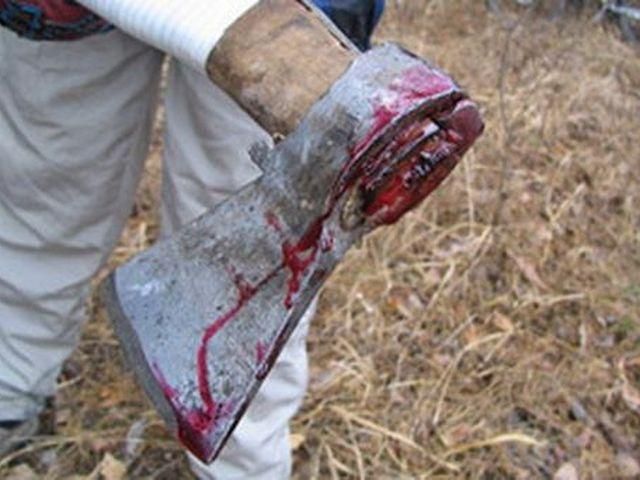 На Харківщині чоловік зарубав літнє подружжя На Харківщині чоловік зарубав літнє подружжя