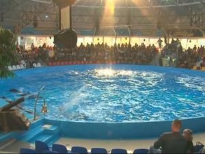 Бій за океанаріум Бій за океанаріум