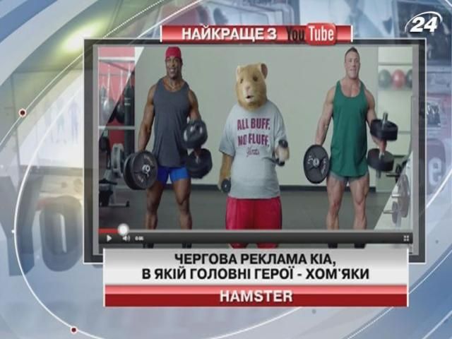 Хом’яки стали героями реклами КIA