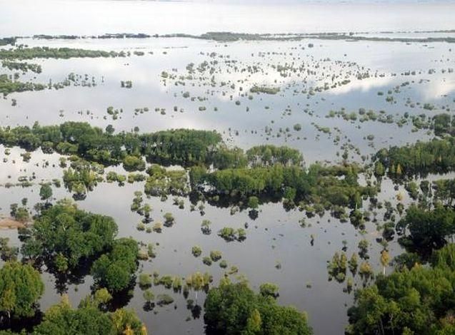 У Росії рівень води в Амурі на метр перевищив історичний максимум 