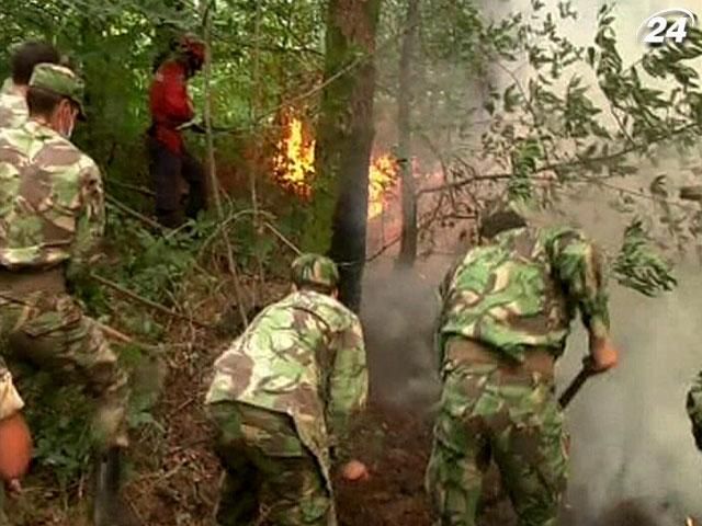 Португалія потерпає від лісових пожеж