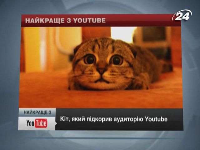 Лучшее с YouTube: Кот с невероятными глазами