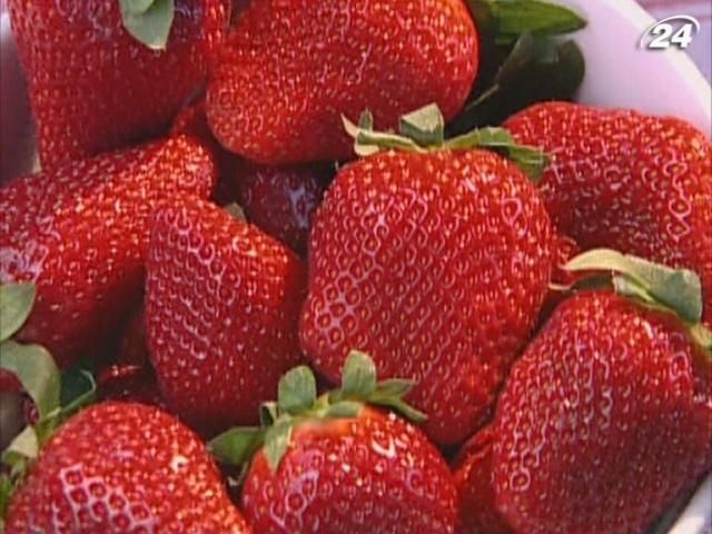 Как выращивают экологически чистую клубнику Как выращивают экологически чистую клубнику