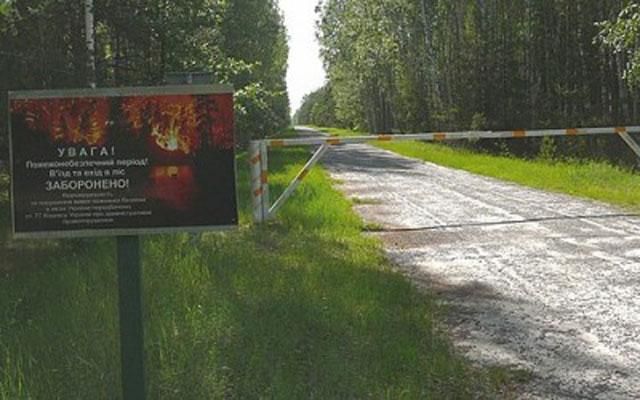 Дорогу к охотничьей резиденции Януковича отремонтируют за 18 млн грн