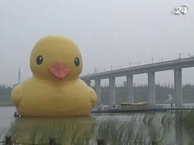 Амстердам подарував Пекіну велетенську жовту качку Амстердам подарував Пекіну велетенську жовту качку