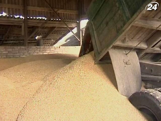 Україна може не впоратись із плановим постачанням зернових для експорту