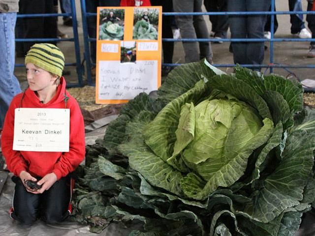 Прошел конкурс гигантских овощей