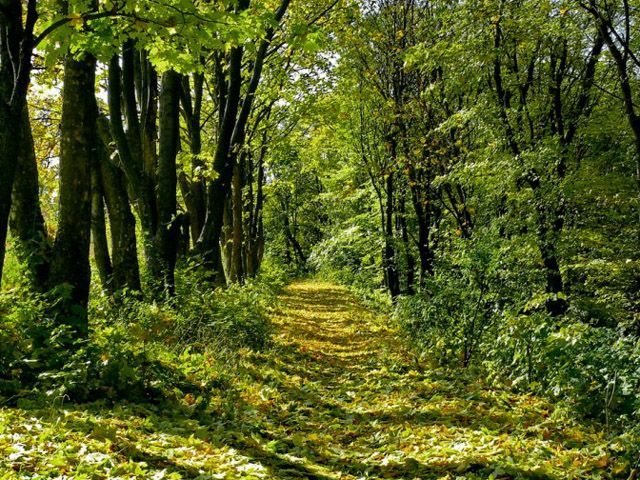 Неделя начнется сухой погодой Неделя начнется сухой погодой