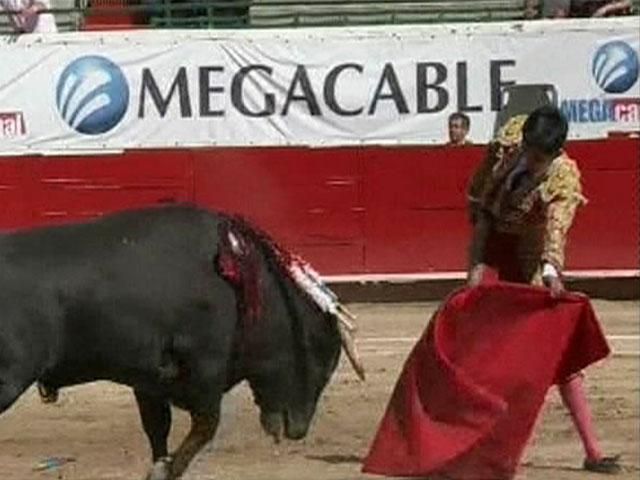 В Мексике защитники животных выступают против испанской корриды В Мексике защитники животных выступают против испанской корриды