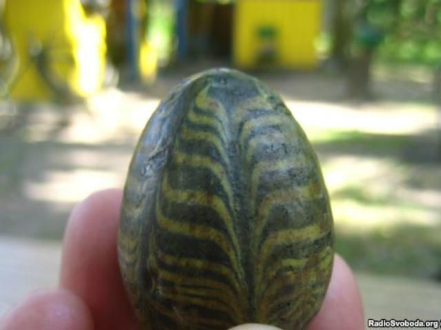 На Ровенщине нашли глиняную писанку, которой 950 лет (Фото) На Ровенщине нашли глиняную писанку, которой 950 лет (Фото)