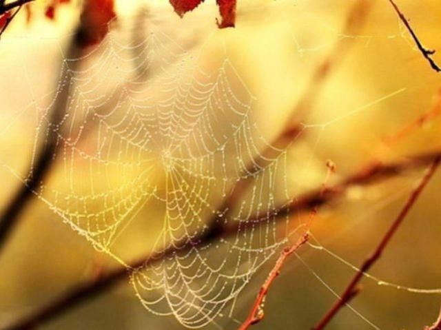 Синоптики прогнозируют Украине "бабье лето" в начале октября Синоптики прогнозируют Украине "бабье лето" в начале октября