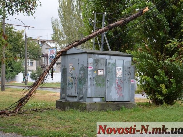 Наслідки стихії у Миколаєві: по місту розкидані трупи дерев (Фото)