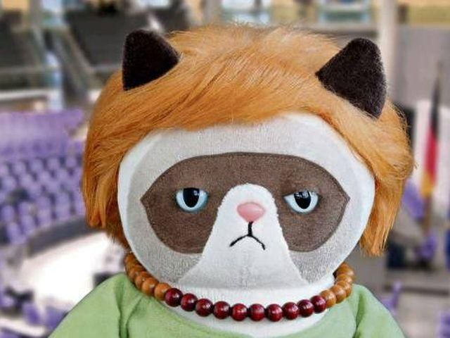 В Германии активно скупают куклу-кошку, похожую на Меркель (Фото) В Германии активно скупают куклу-кошку, похожую на Меркель (Фото)