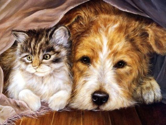 Рада заборонила дітям купувати тварин Рада заборонила дітям купувати тварин