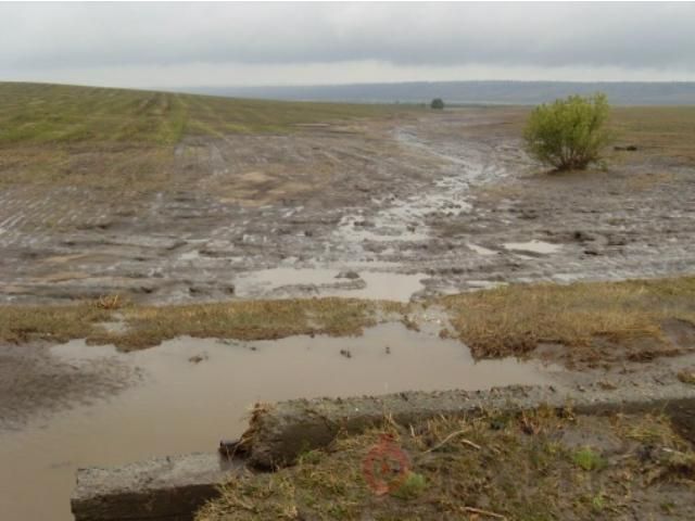 Одесской области угрожают сибирка и туберкулез Одесской области угрожают сибирка и туберкулез