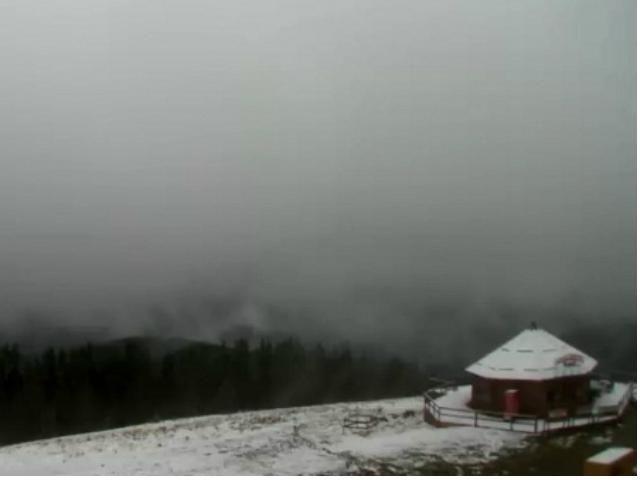 У Карпатах уже випав сніг У Карпатах уже випав сніг