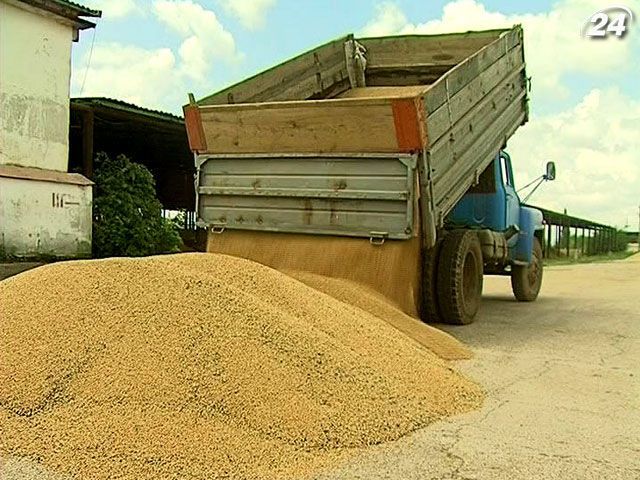 Зернові та олійні культури в Україні подешевшали майже на третину Зернові та олійні культури в Україні подешевшали майже на третину