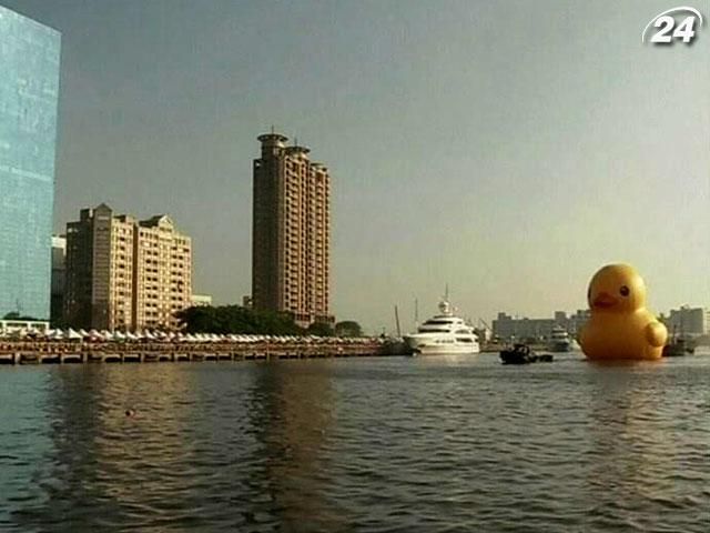 В Тайвань приплыла гигантская желтая утка